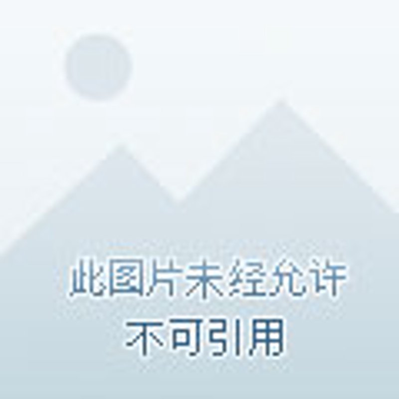 数据可视化平台：企业效率倍增的秘密武器